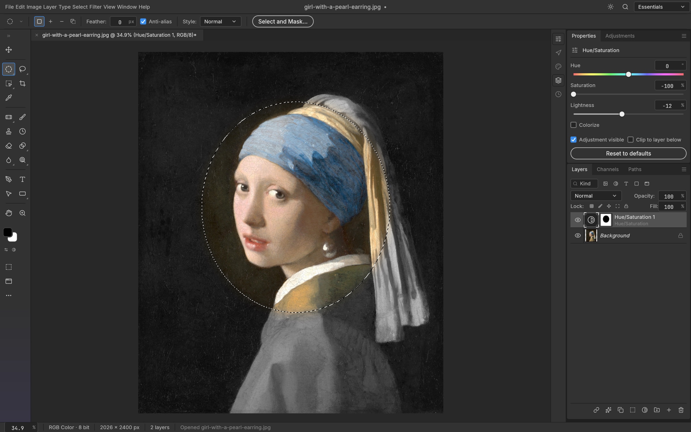PhotoCraft official screenshot showing an elliptical selection, Hue and Saturation controls, and a layer mask on Girl with a Pearl Earring